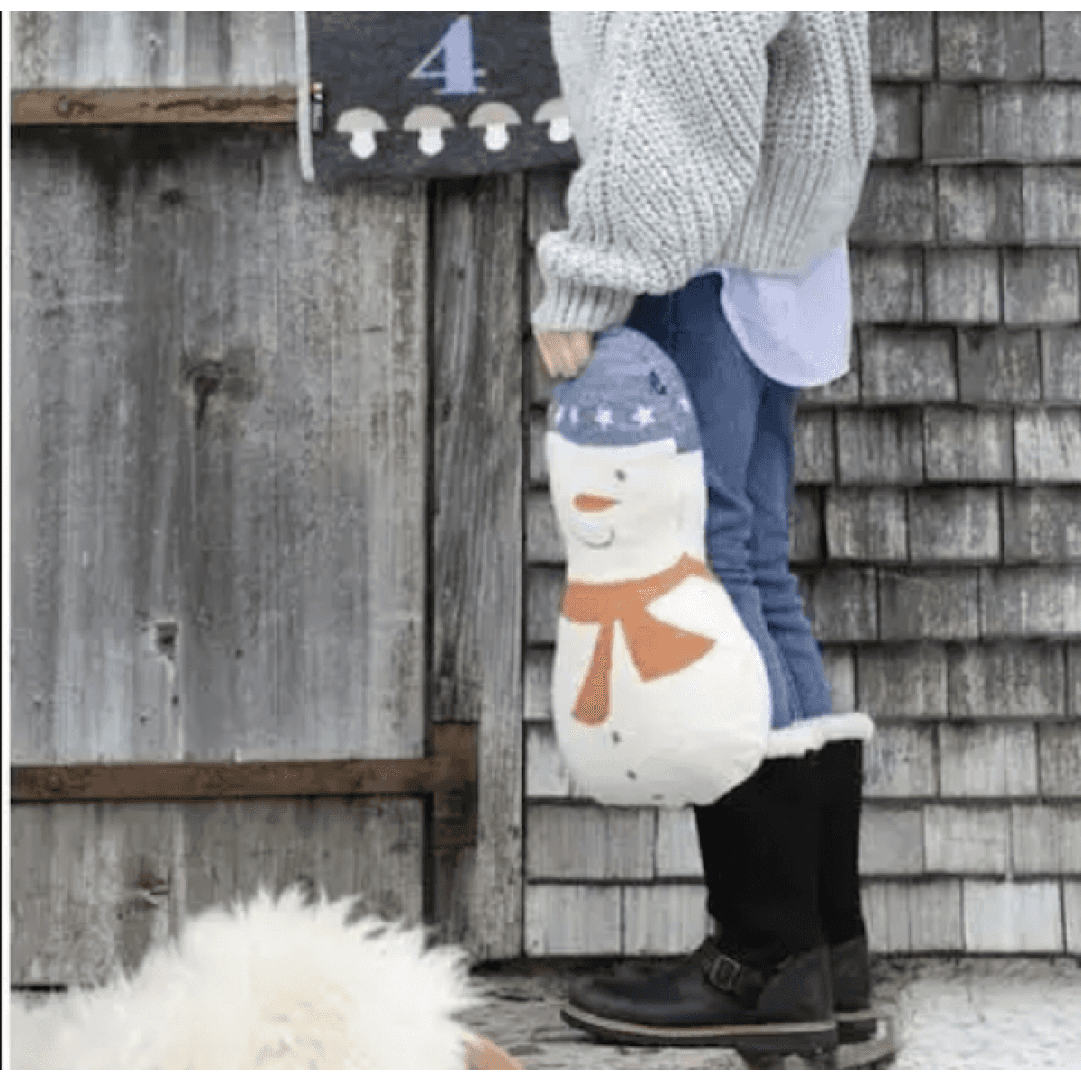 Immagine del prodotto Cuscino Pupazzo di Neve in cotone 30x40 cm | David Fussenegger