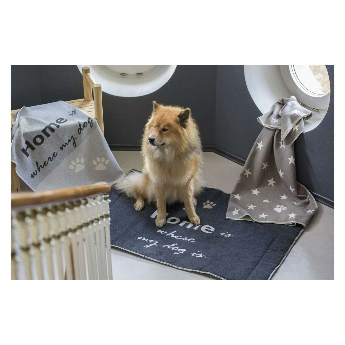 Immagine del prodotto Tappetino per Cani Home is where my dog is 80x120 cm in Cotone | David Fussenegger
