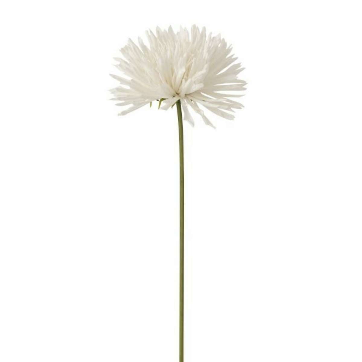 Immagine del prodotto Crisantemo Bianco Artificiale h59 cm | Jolipa
