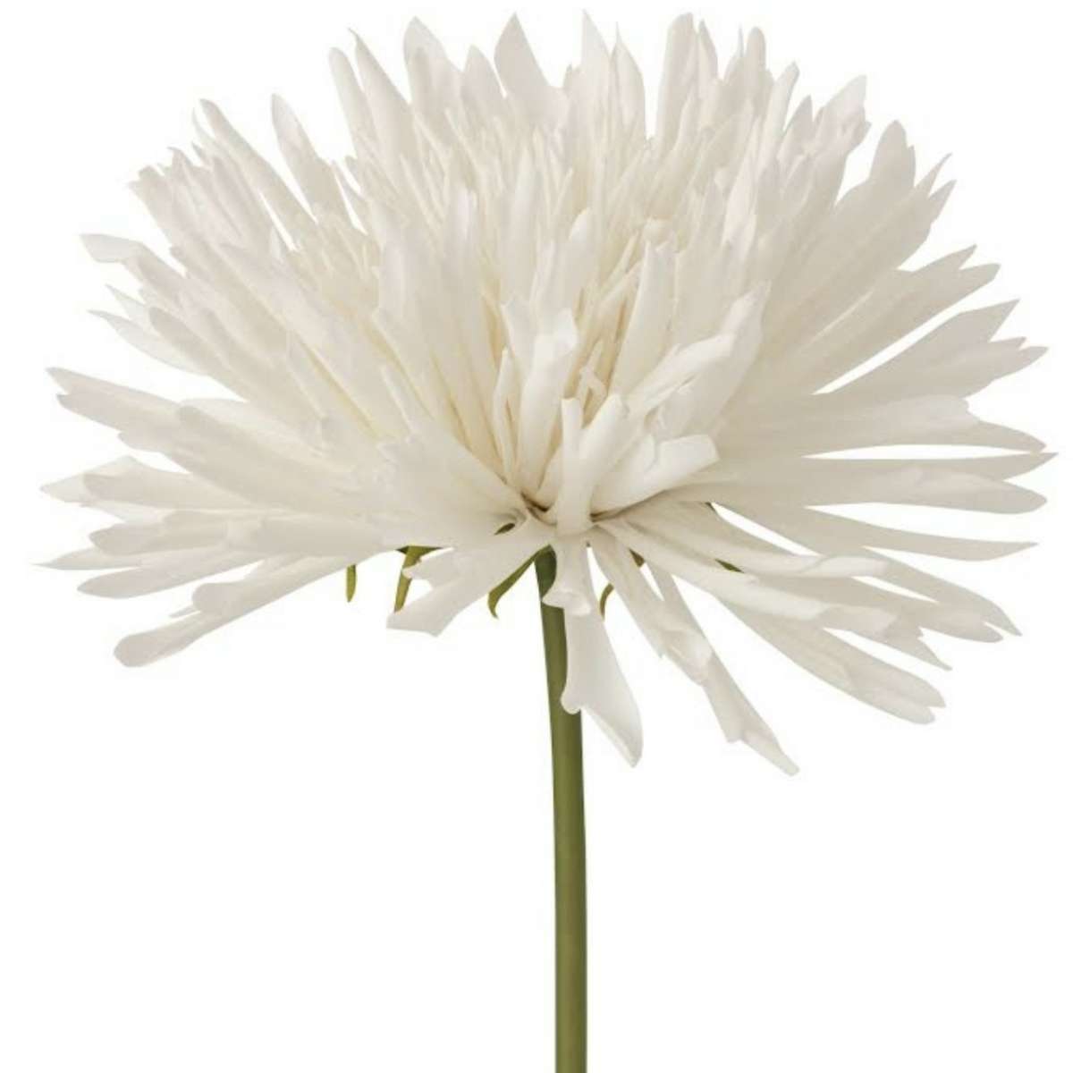 Immagine del prodotto Crisantemo Bianco Artificiale h59 cm | Jolipa