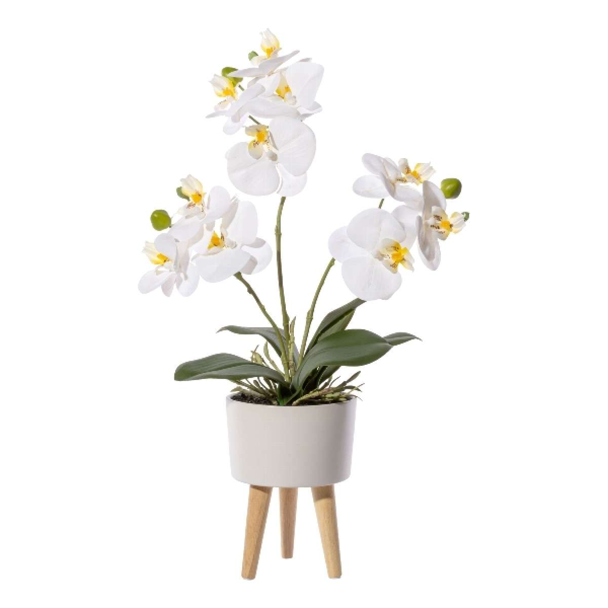 Immagine del prodotto Orchidea Phalaenopsis Bianca 42cm Real Touch, in Vaso di Ceramica 10x6,5cm | Gasper since 1965
