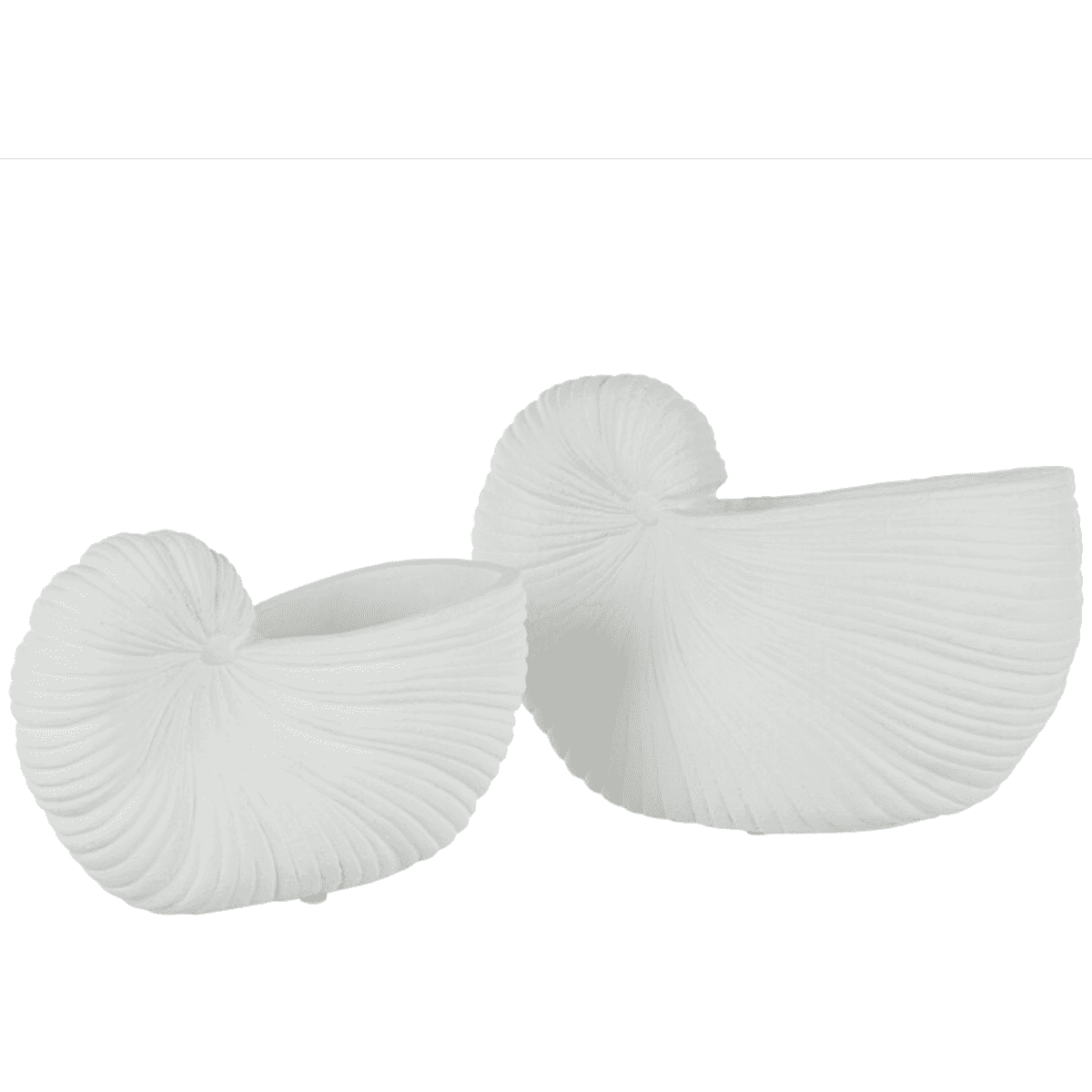 Immagine del prodotto Conchiglia Vaso Porcellana Bianco - 2 Misure | Jolipa