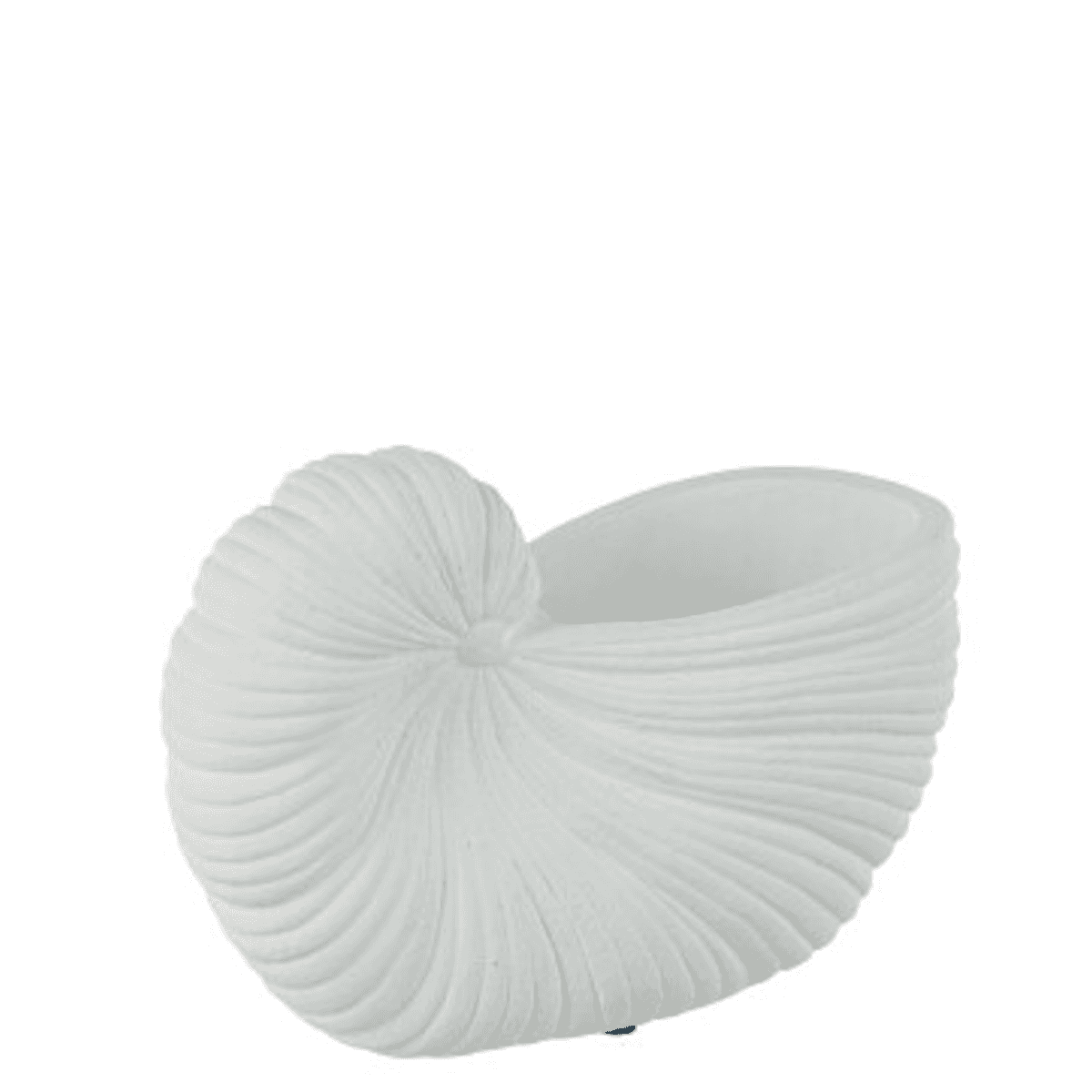 Immagine del prodotto Conchiglia Vaso Porcellana Bianco - 2 Misure | Jolipa