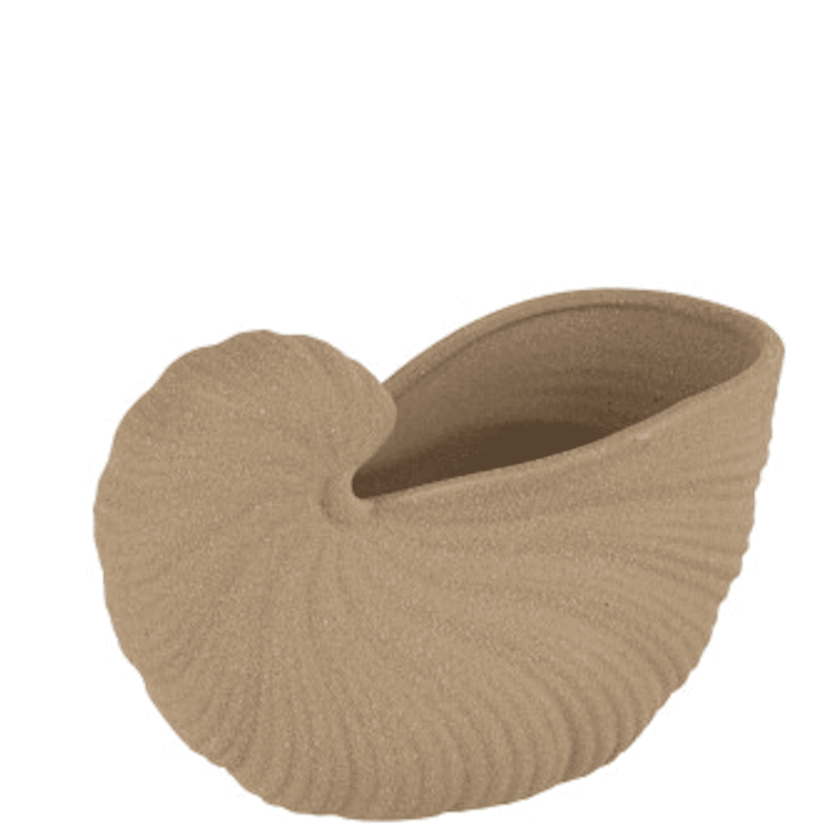 Immagine del prodotto Conchiglia Vaso Porcellana Beige 22x12,5x14cm | Jolipa