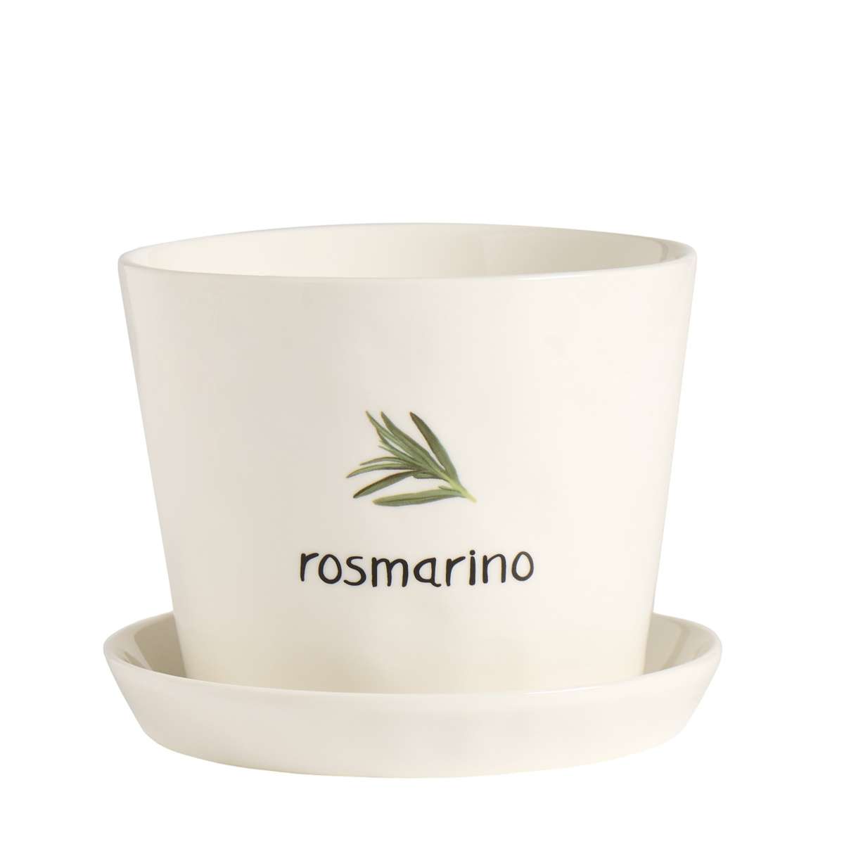 Immagine del prodotto Vaso Rosmarino con Sottovaso | Simple Day