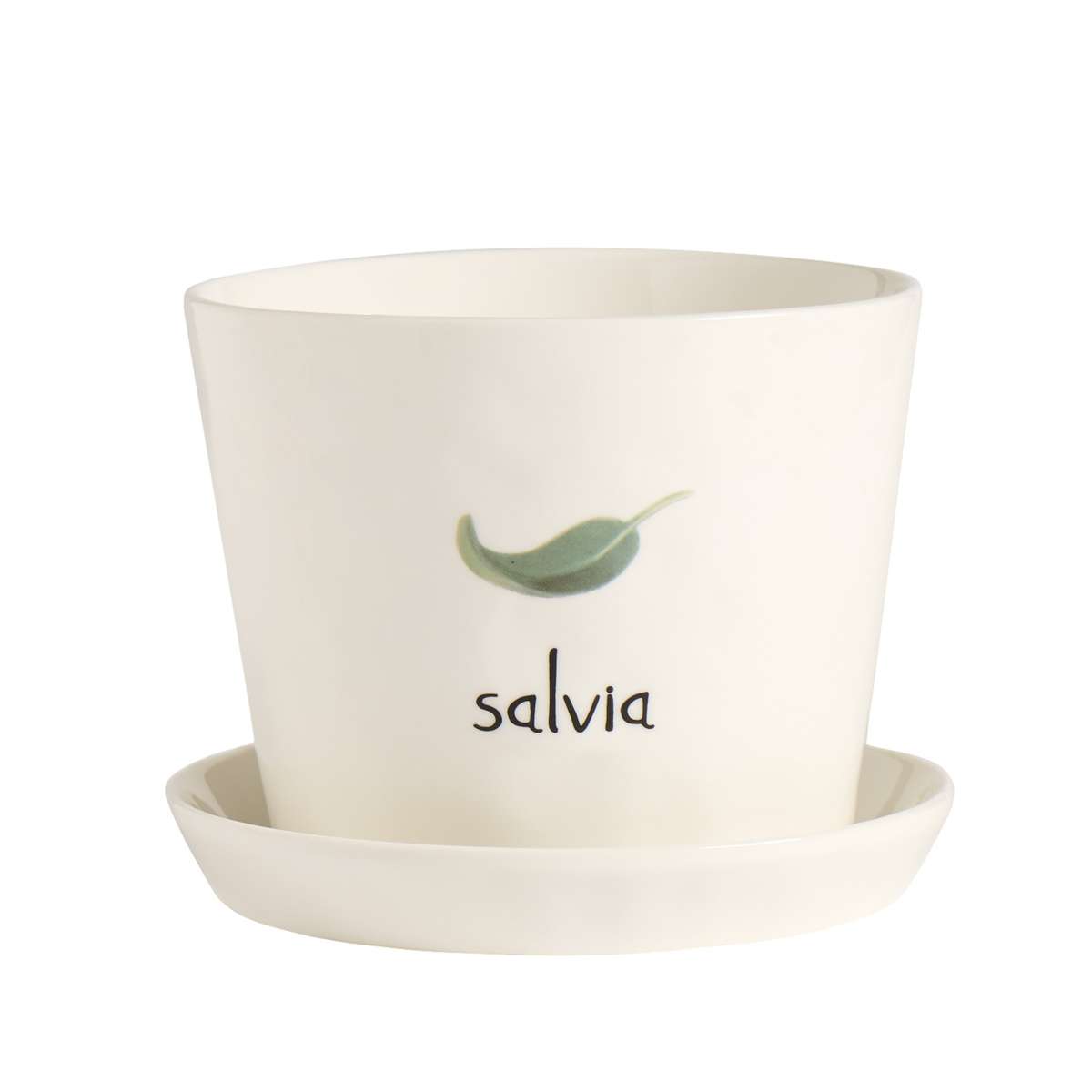Immagine del prodotto Vaso Salvia con Sottovaso | Simple Day