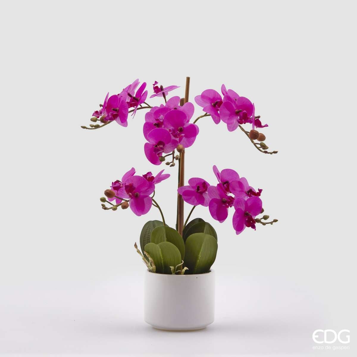 Immagine del prodotto Orchidea Fucsia con vaso h38 cm | EDG Enzo De Gasperi