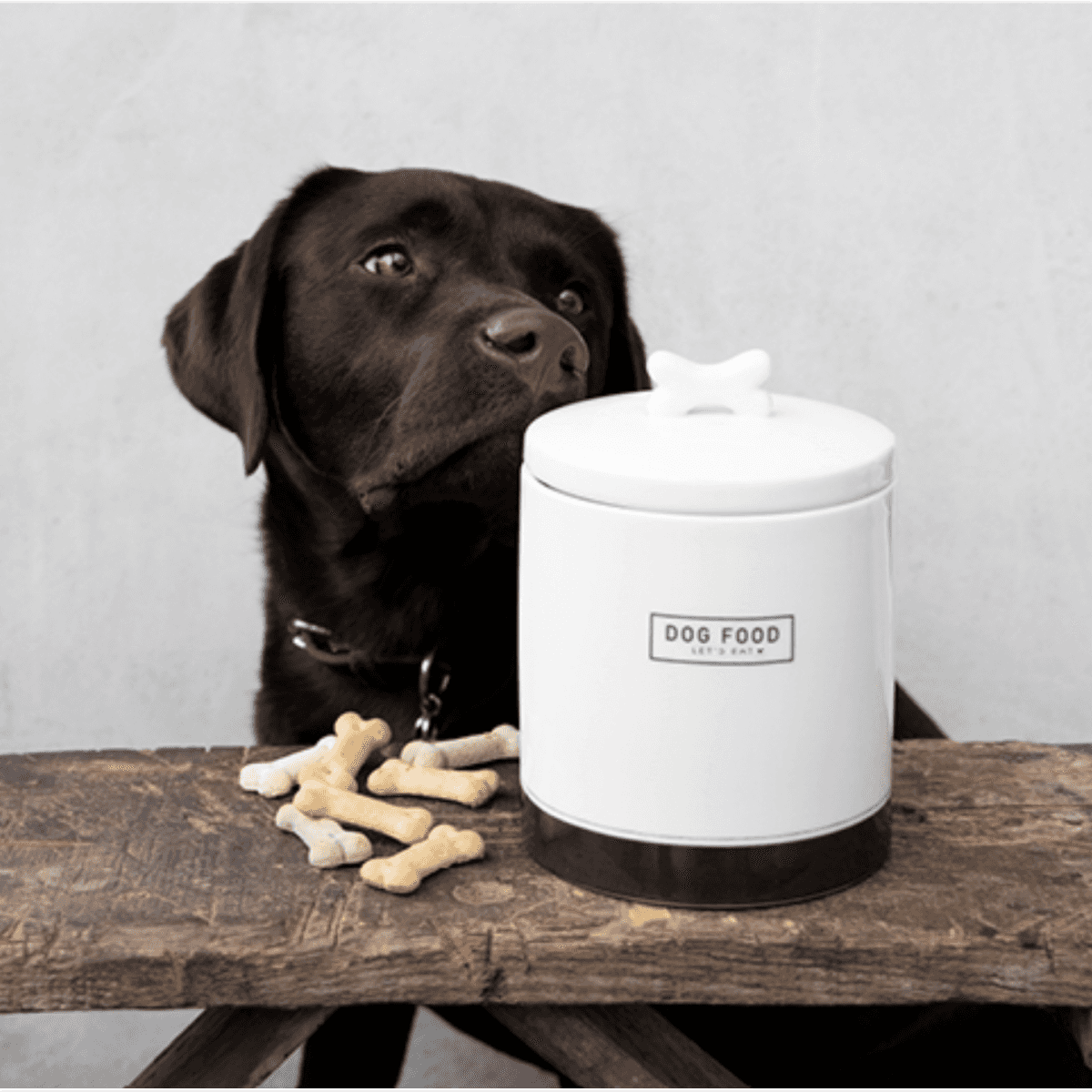 Immagine del prodotto Barattolo in ceramica Dog Food con tappo ermetico cibo per cani | Bastion Collections