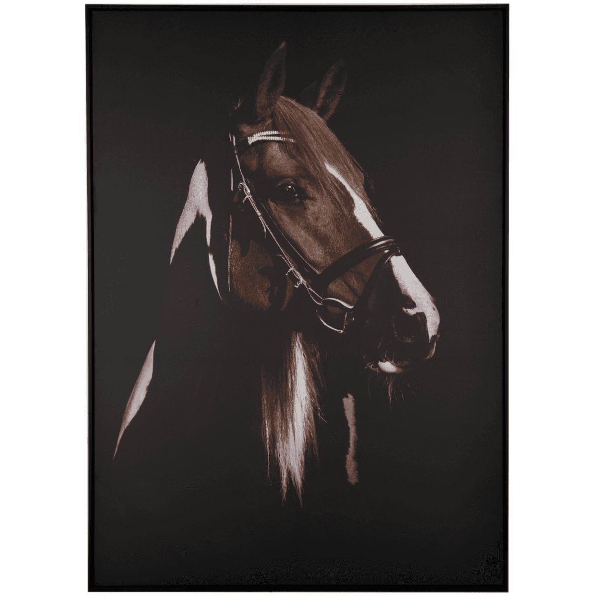 Immagine del prodotto Quadro Cavallo in Tela con Cornice 103x143 cm Difettato | A. House