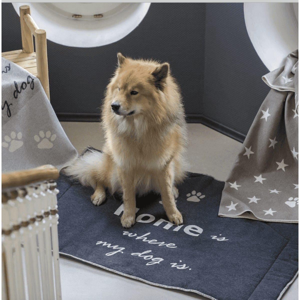 Immagine del prodotto Tappetino per Cani Home is where my dog is 80x120 cm in Cotone | David Fussenegger