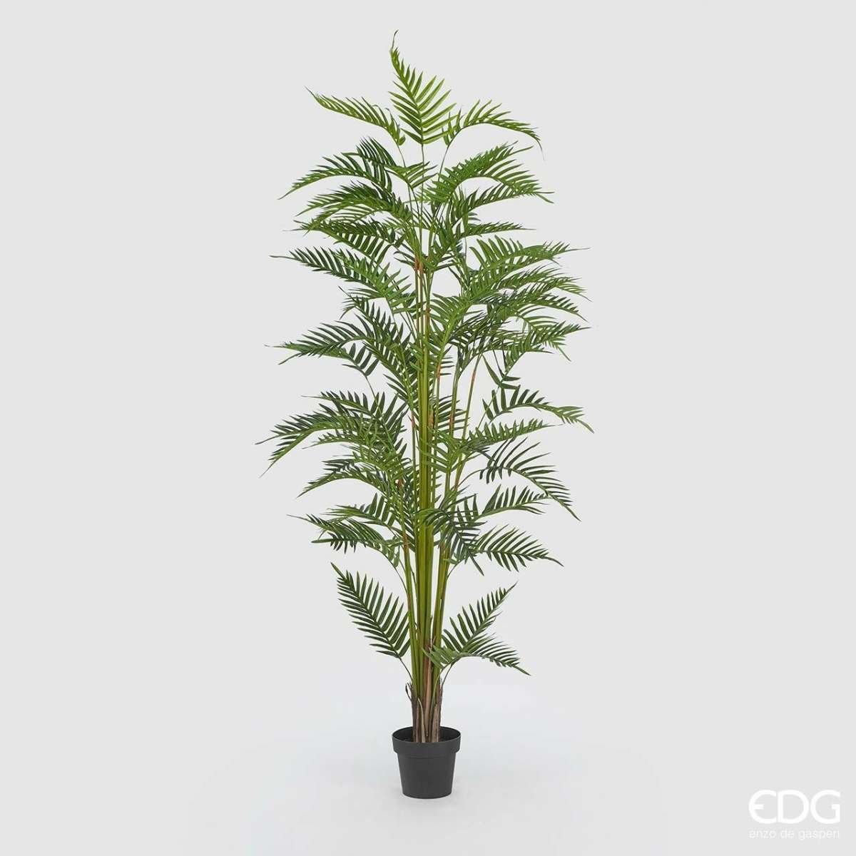 Immagine del prodotto Palma Areca artificiale con Vaso h200 cm | EDG Enzo De Gasperi