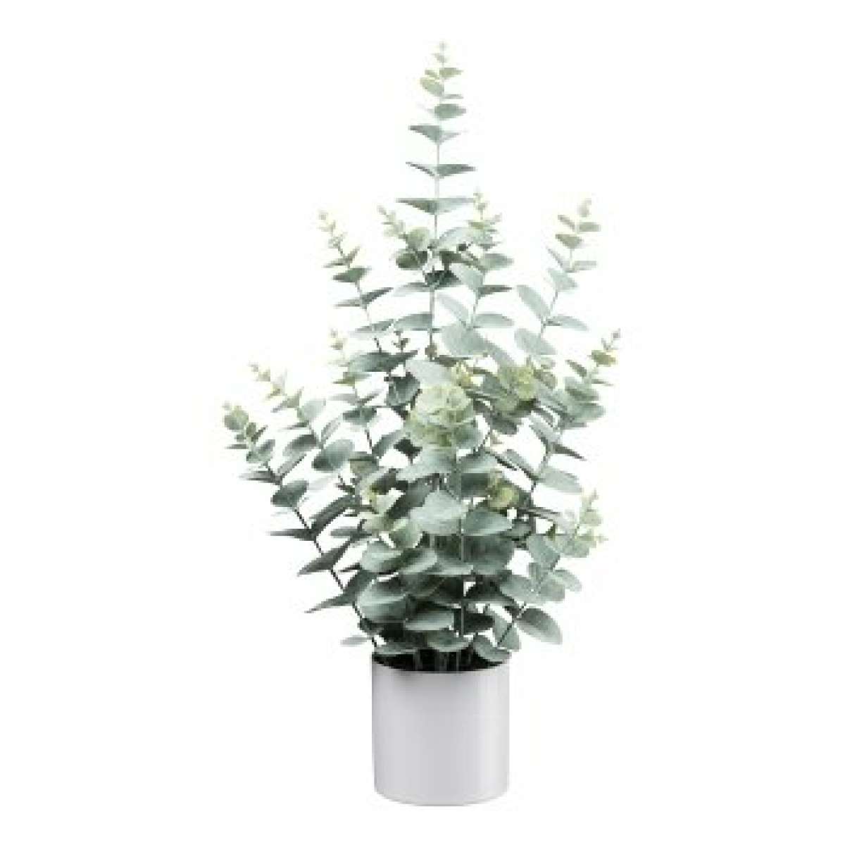 Immagine del prodotto Eucalipto in Vaso Melaminico Bianco 64 cm | 
