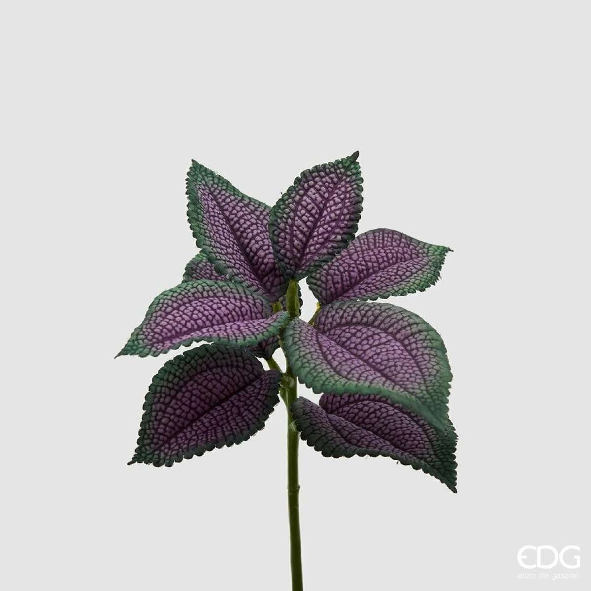 Immagine del prodotto Coleus Bell Pick  8 foglie h 24 cm (2 Colori) | EDG Enzo De Gasperi